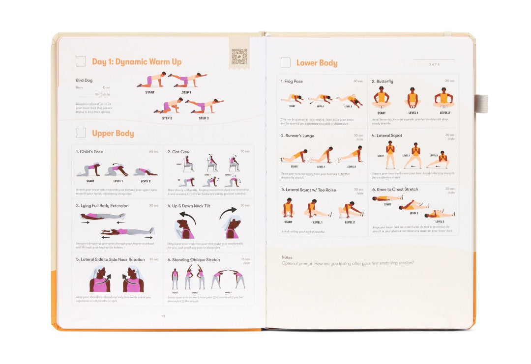 Day 1: Dynamic warm-up, upper body and lower body