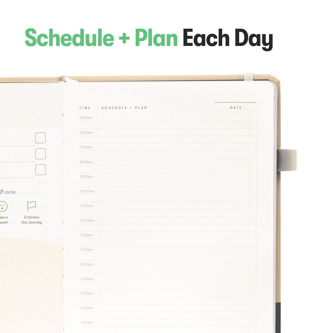 Daily schedule and plan