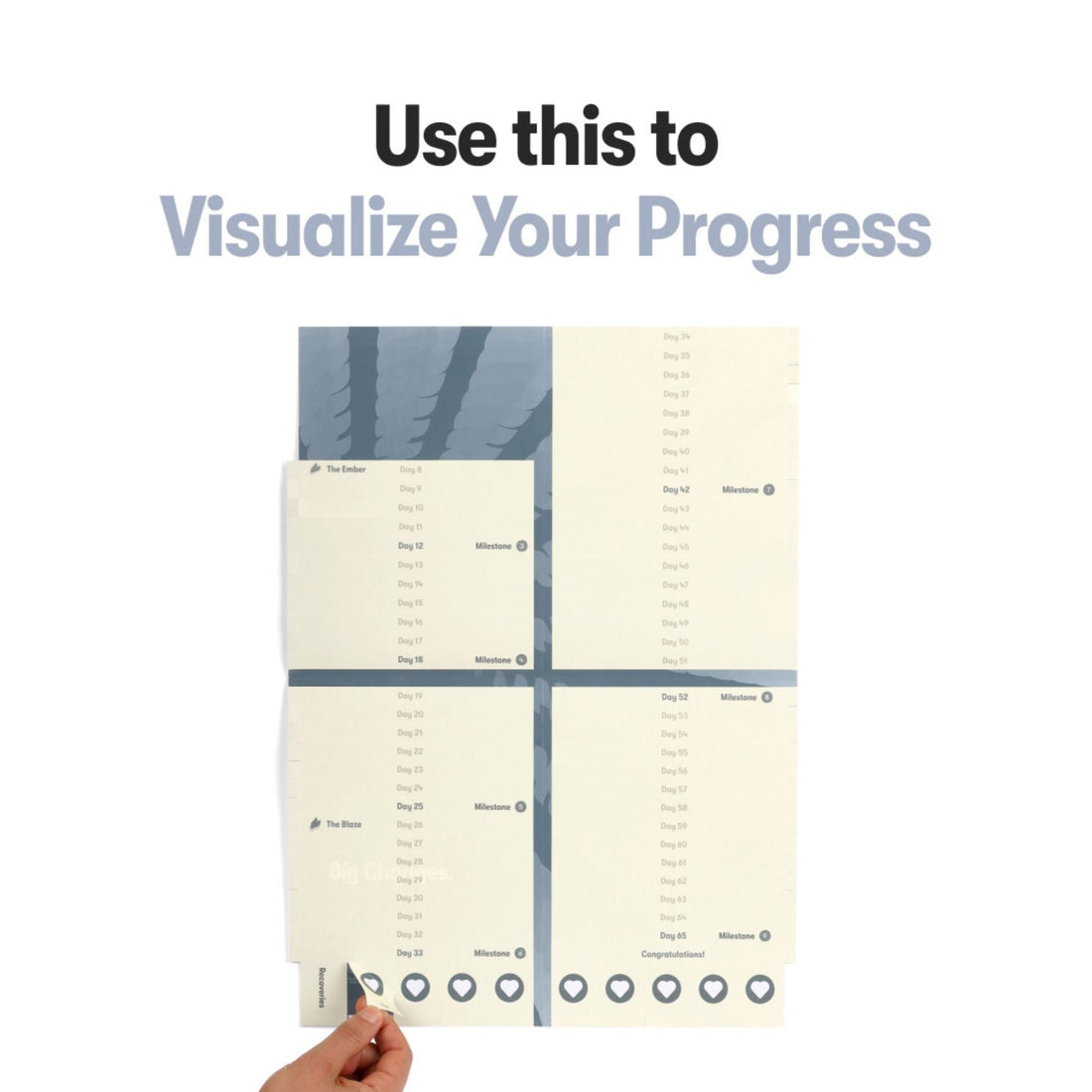 Peel-off progress tracker