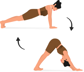 7. Downward Dog to Plank Pose Flow