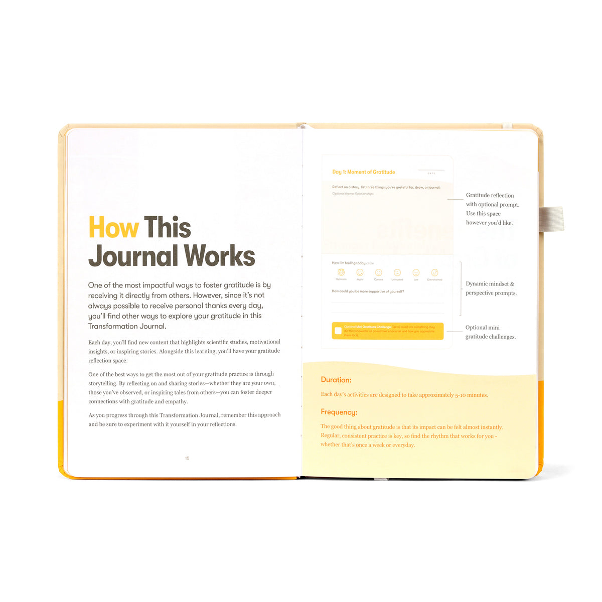 How this journal works