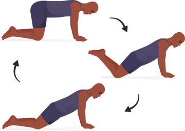 3. Table Top Hip Circles