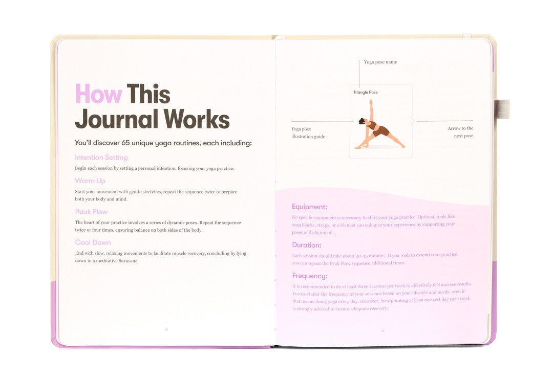 How this journal works