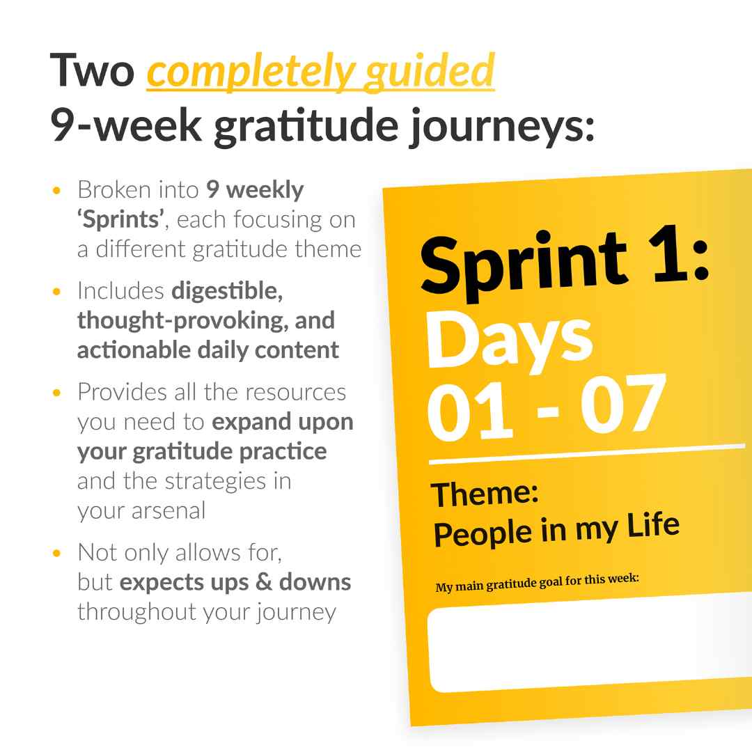 Gratitude Sidekick Journal Volumes 2 & 3