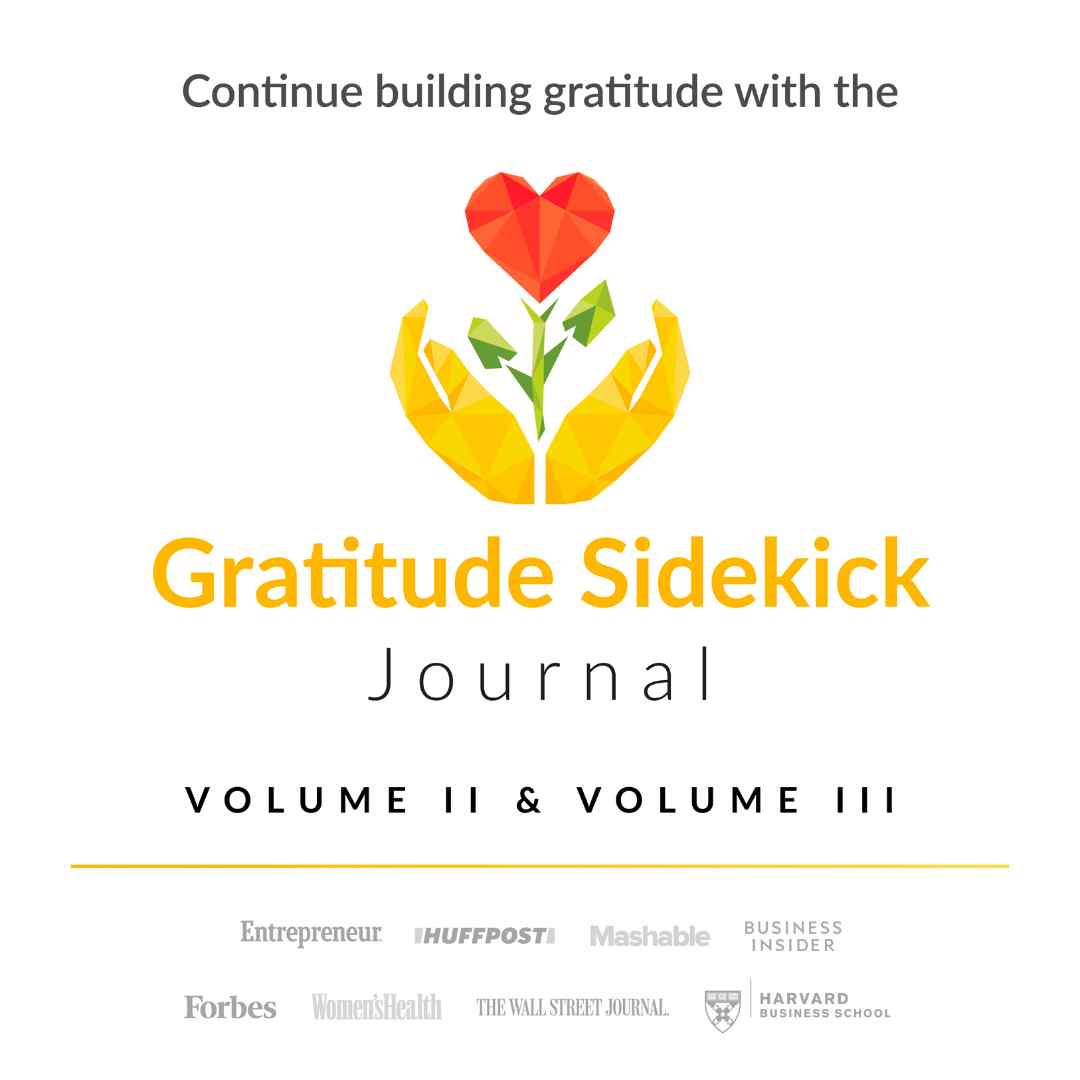 Gratitude Sidekick Journal Volumes 2 & 3